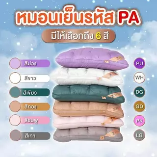 หมอนปรับสรีระ SALILA โปร 1 แถม 1 คุ้มสุดๆ มีให้เลือกทั้งหมอนสูงและต่ำ