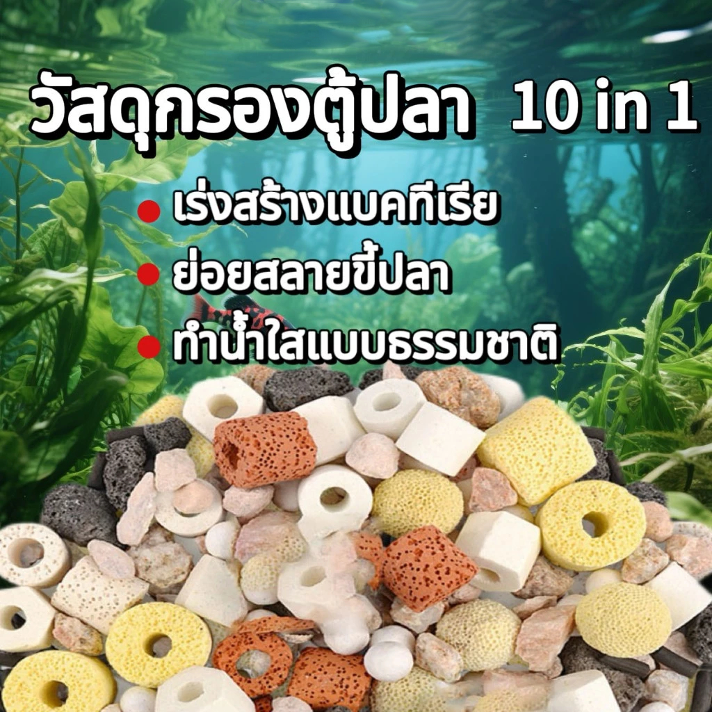 ชุดวัสดุกรองเทพ 10 in 1 ✨ ปรับน้ำใสใน 3 วัน | แถมฟรีสูงสุด 60 กรัม