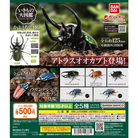 Gachapon Bandai Encyclopedia Rhinoceros Beetle 06 - กาชาปอง บันได ด้วงคาบูโตะญี่ปุ่น ชุด 06