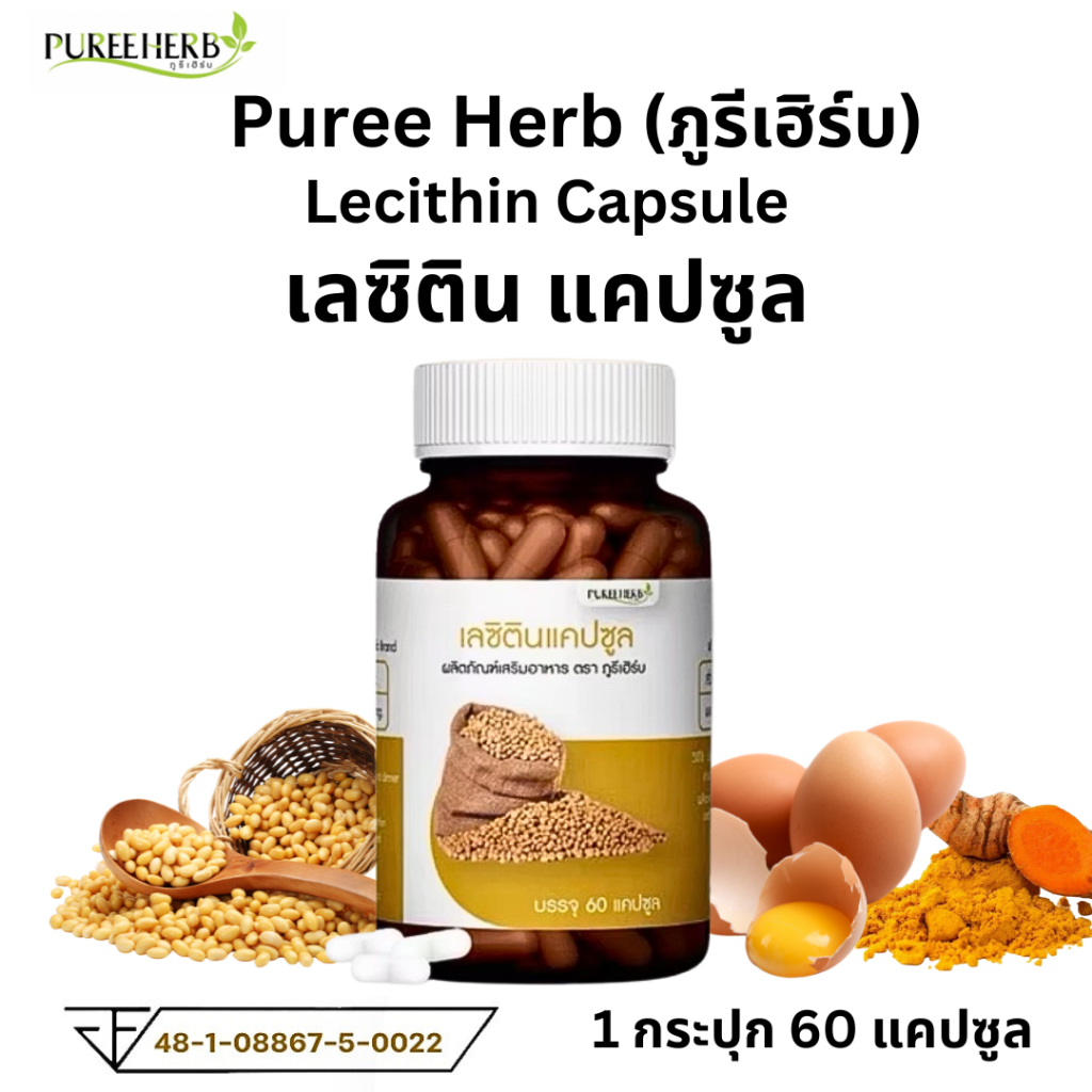 Puree herb lecitin เลซิตินแคปซูล 1 ขวด 60 เม็ด ภูรีเฮิร์บ เลซิติน แคปซูล ไขมัน พอกตับ ตับ สมอง ภูรี