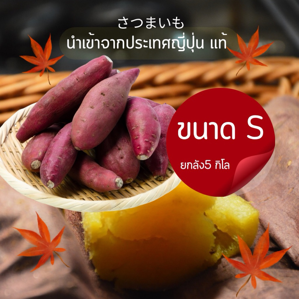 นำเข้าจากญี่ปุ่นแท้100% เบนิฮารุกะแท้ ขนาด S ยกลัง 5 กิโลกรัม
