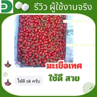 ดี-ไวท์ เม็ดฟู่เทพ กำจัดโรคพืช เชื้อรา แบคทีเรีย โรครากเน่า โคนเน่า โรคพืชทุกชนิด