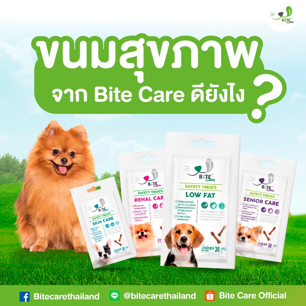 1 แถม 1 bite care ขนมเพื่อสุขภาพ มีสูตรเฉพาะทาง 38 กรัม 15 ชิ้น