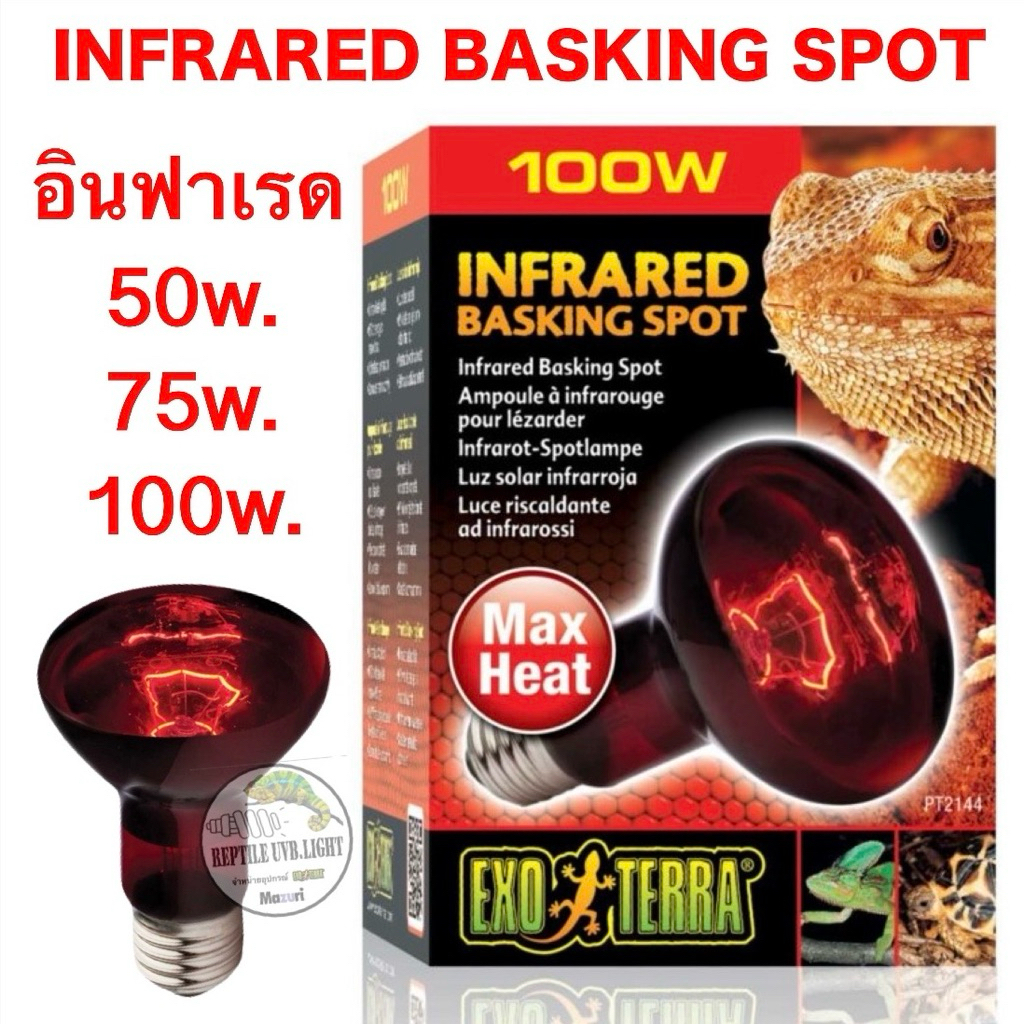 Exoterra หลอดอินฟาเรด ให้ความร้อน  กลางคืน Infrared Basking Spot   สำหรับเต่าบก เบียดดราก้อน