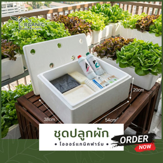 ชุดปลูกผักไฮโดรโปนิกส์ (น้ำนิ่ง) กล่องปลูกผักครบชุด