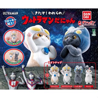 **ของแท้ พร้อมส่ง** กาชาปอง อุลตราเหมียว Gashapon Ultraman d…