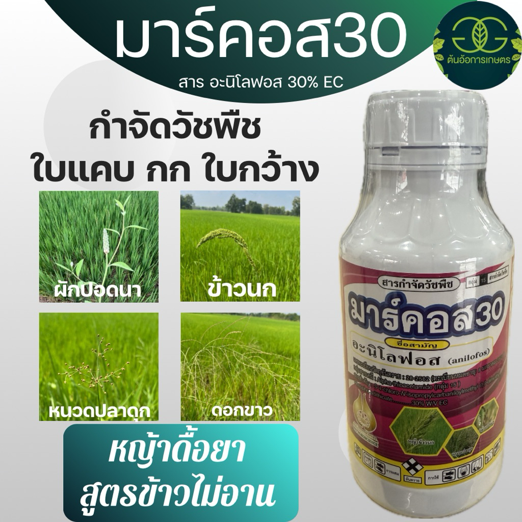 มาร์คอส อะนิโลฟอส กำจัดหญ้า นาข้าว ใบแคบ กก ใบกว้าง ขนาด500ซีซี  อะนิโลฟอส30%