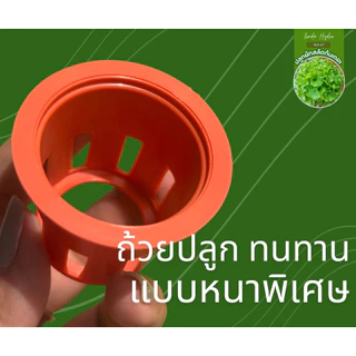 ถ้วยปลูกผัก หนาพิเศษ ถ้วยปลูกไฮโดรโปนิกส์ แบบหนา