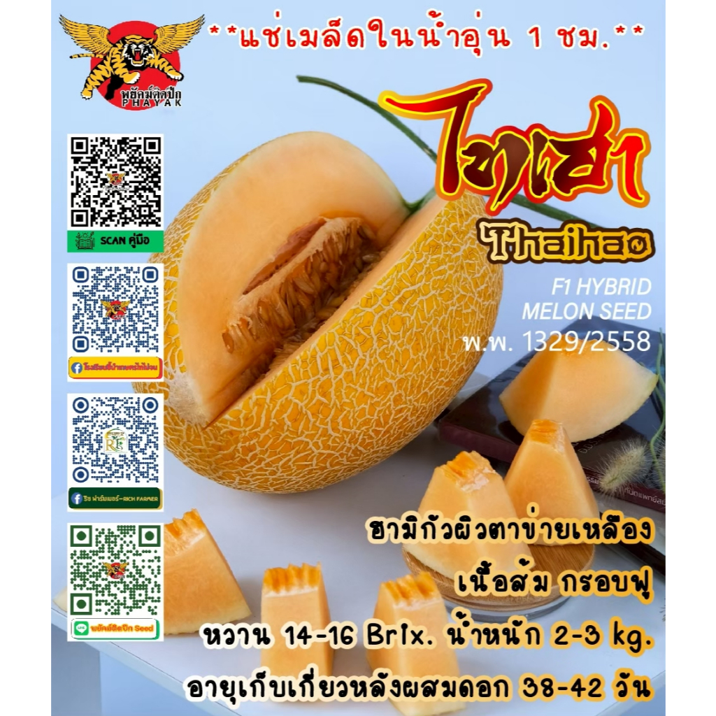 ไทเฮา(Thai Hao) 100เมล็ด เมล่อนF1 เทพมงคลฟาร์ม แท้!!