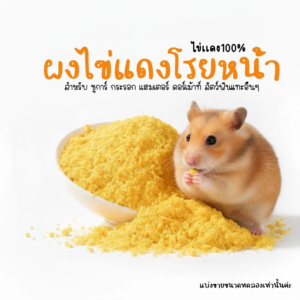 ผงโรยหน้าอาหารสัตว์ เพิ่มโปรตีน สำหรับแฮมเตอร์ ชูการ์ เม่น และสัตว์ฟันแทะ thumbnail 4