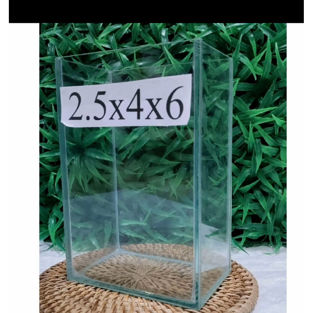 โหลปลากัดราคาถูก ขนาด 2.5x4x6