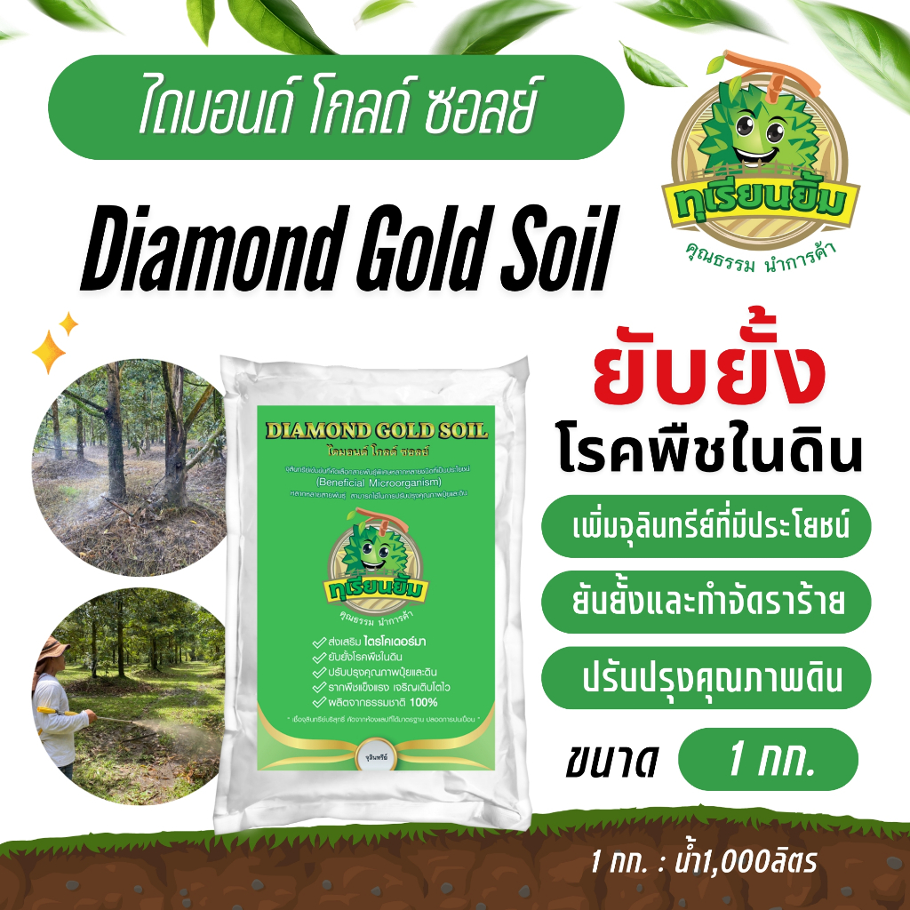 ไดมอนด์ โกลด์ ซอลย์ DIAMOND GOLD SOIL ทุเรียนยิ้ม " จุลินทรีย์ กำจัดเชื้อราในดิน ทำให้ดินมีสุขภาพดี ปลอดโรคในดิน "
