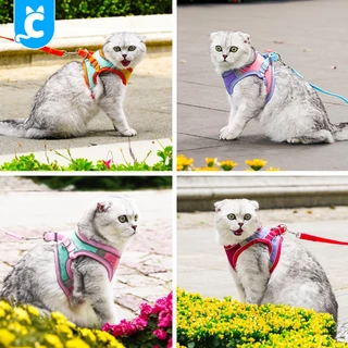 [ส่งฟรี🇹🇭] CleverPet เสื้อรัดอกแมว ฟรีสายจูง สายรัดอกหมา สายรัดอกแมว Suede Cat Harness