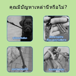 สัตว์เลี้ยง เชือกลากจูง หมาใหญ่ โซ่หมา โซ่สแตนเลส ลวดสลิง 3M/5M สายจูงสัตว์เลี้ยง สายจูงหมา สายจูงสุนัข สุนัข เชือ