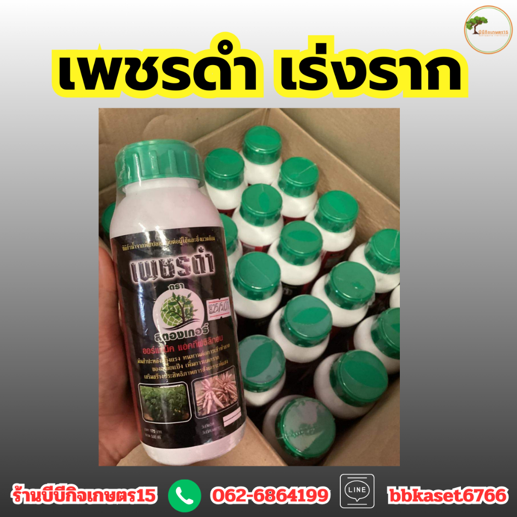 เพชรดำเร่งราก สตรองเกอร์ 500 ซีซี ฮอรโมนเร่งมัน แช่ราก