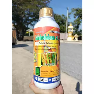 ไอโซโพรไทโอเลน41.76 ขนาด1ลิตร ป้องกันกำจัดเชื้อรา-แบคทีเรีย คอรวงแห้ง ราหลุม กาบใบแห้ง ใบไหม้ ใบจุดสีน้ำตาล