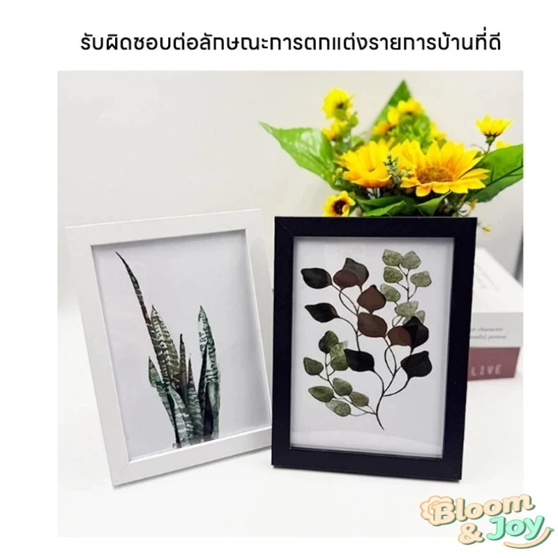 กรอบรูปไม้ กรอบรูปเรียบๆ กรอบรูปใส ของแต่งบ้าน ราคา ถูกที่สุด ดีลบีเคเค แกลเลอรีภาพที่ 6