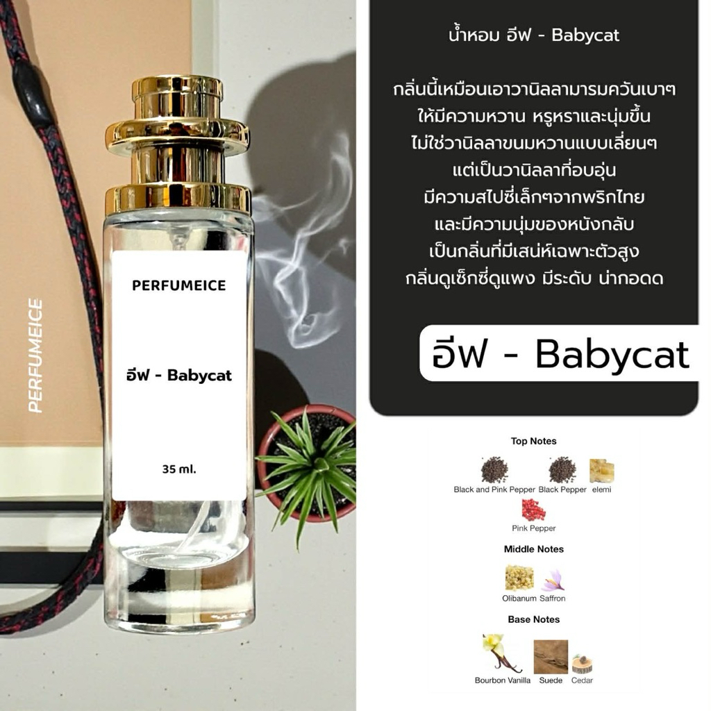 น้ำหอม อีฟ - Babycat