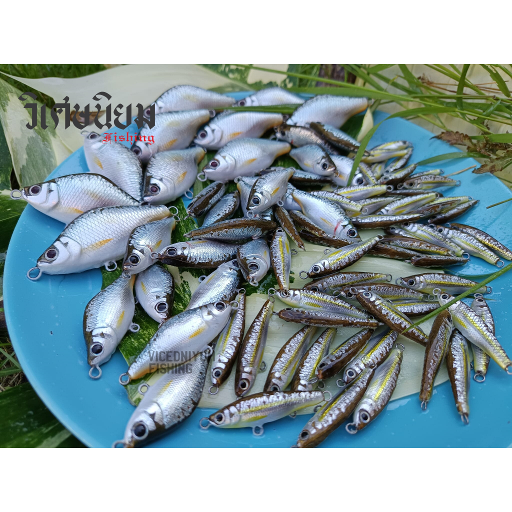 เหยื่อตกปลาล่าเหยื่อ งานไม้ทำมือ งาน Hand made ( ผลิตในไทย ) ซิว ตะเพียน กรอส่าย จมพลิก โครง เคาะ แฉลบ