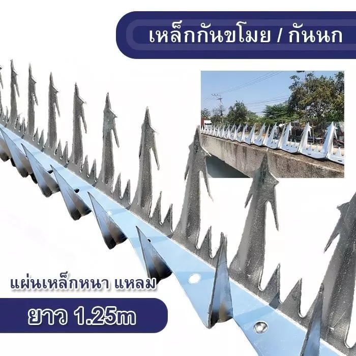 ก้านเหล็ก ยาว 1.25 เมตร กันขโมย กันนก หนาม ประสบความสําเร็จ