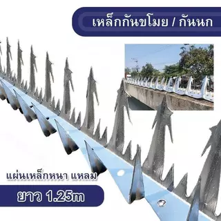 ก้านเหล็ก ยาว 1.25 เมตร กันขโมย กันนก หนาม ประสบความสําเร็จ