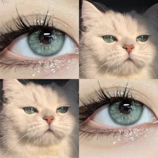 คอนแทคเลนส์ Midroo เลนส์ค่าสายตาสั้น ฟิวลูกครึ่ง เลนส์ 0.00-…