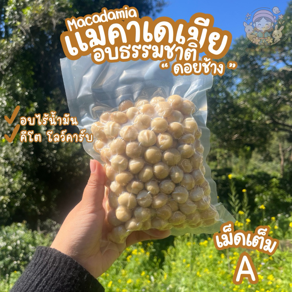 แมคคาเดเมียไทย(เม็ดเต็มA ) Macadamia อบใหม่ สดจากสวน ไร้สารเติมแต่ง