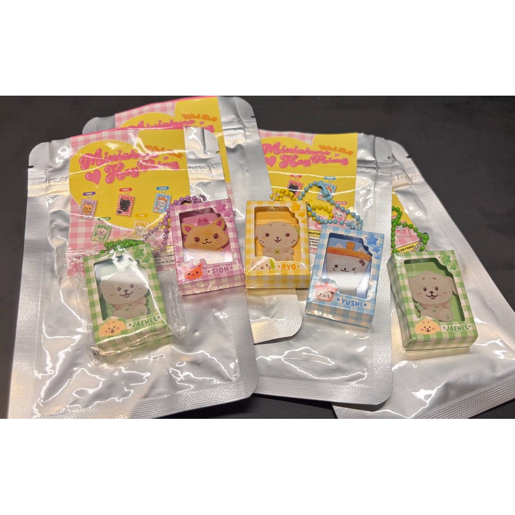 NCT Wish - Miniature Keyring