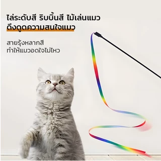 🐱 ของเล่นแมว ไม้ตกแมว ไม้ตกแมวสายรุ้ง ไม้ล่อเเมวริบบิ้น ช่วยให้เเมวผ่อนคลาย
