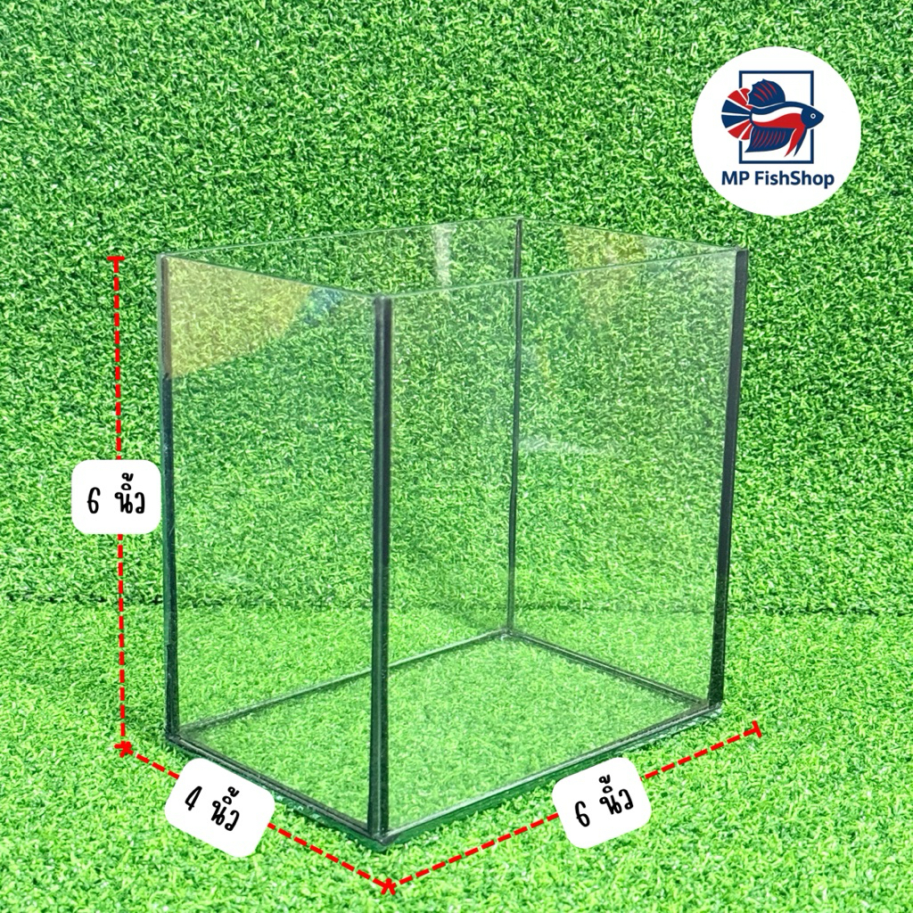 โหลกระจกสำหรับเลี้ยงปลากัดและปลาสวยงาม ขนาด 4x6x6