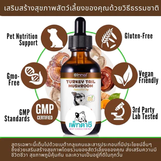 Oimmal Turkey Tail Mushroom รวมเห็ด 5 ชนิด ช่วย ภูมิคุ้มกัน โปรไบโอติก บำรุงลำไส้ สำหรับ สุนัข แมว