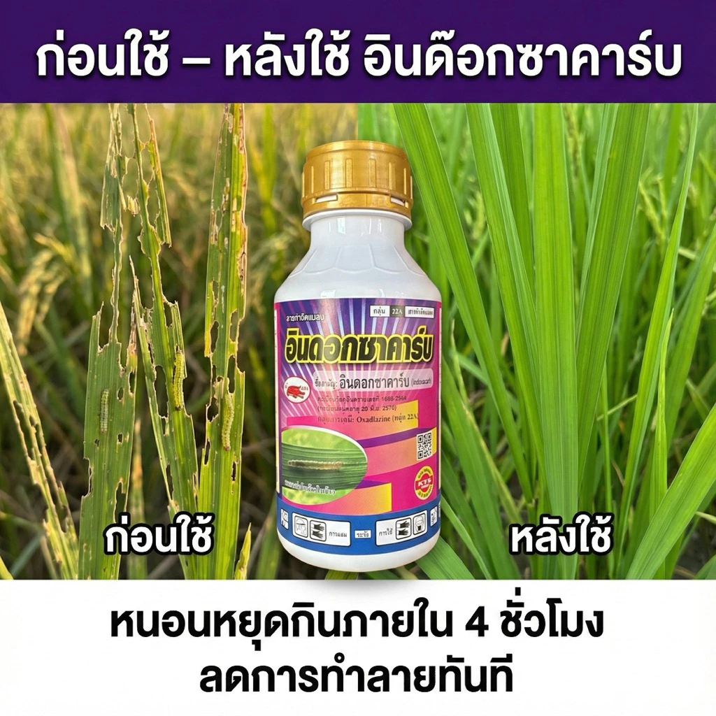 อินด๊อกซาคาร์บ 250cc8-10ไร่ /500cc 15-20ไร่ กำจัดหนอนใบขาว หนอนม้วนใบ หนอนเจาะ หนอนกระทู้