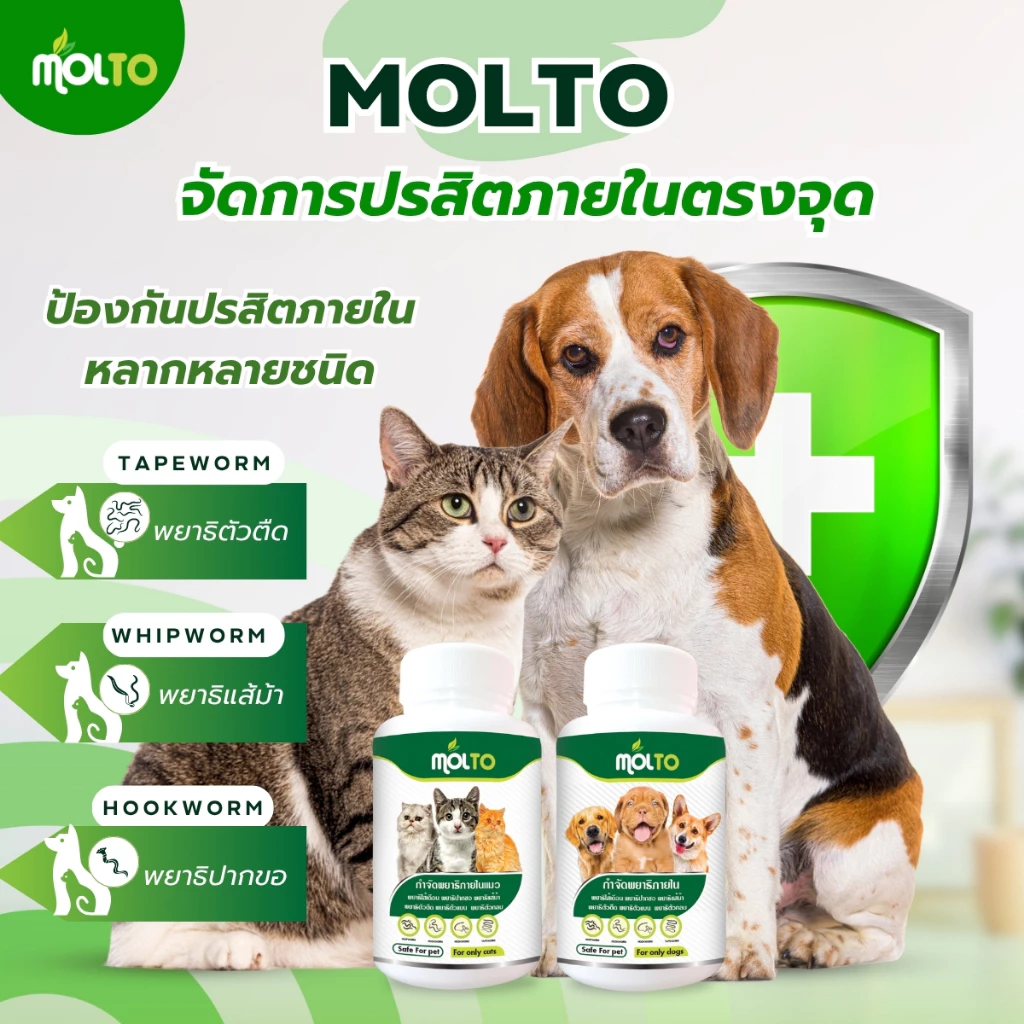 MOLTO PAWS เสริมภูมิต้านทานสุนัข/แมว ป้องกันปรสิตภายในสัตว์เลี้ยง ขนสวย พยาธิ แมวหมา ดีจากภายใน