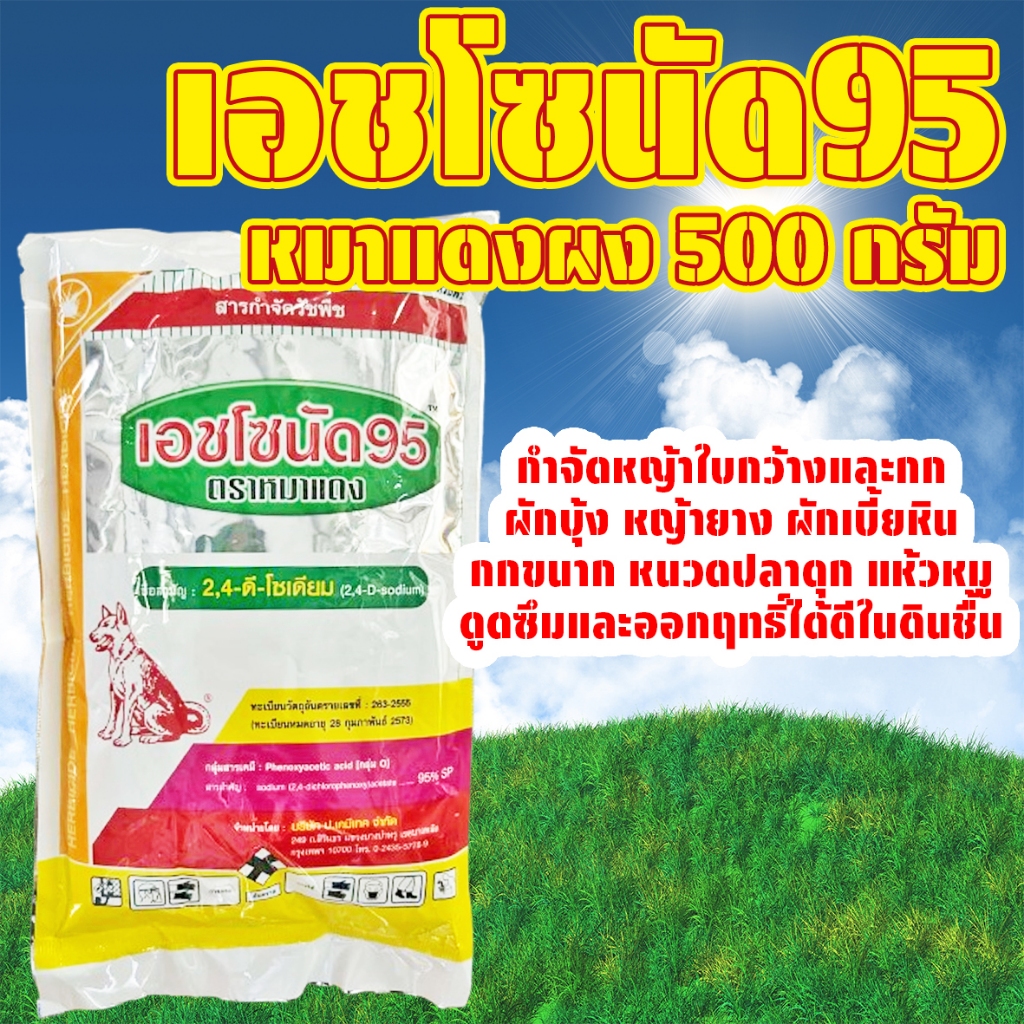 🥬 เอชโซนัด95 ตราหมาแดง (2,4ดี-โซเดียม95%) บรรจุ 1กิโลกรัม กำจัดหญ้าใบกว้าง และกกต่างๆ