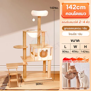 คอนโดแมว คอนโดแมวไม้ บ้านแมว 200CM เหมาะสำหรับเลี้ยงน้องแมว 4-6ตัว เสาลับเล็บ ขนาดใหญ่ สูง170CM