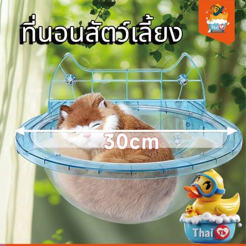 Thai.th  ที่นอนสัตว์เลี้ยง เปลแมวติดกระจก ที่นอนแมวติดกระจก ที่นอนชมวิว Window bowl