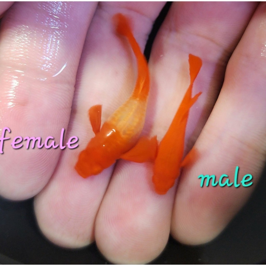 รูปภาพ 2