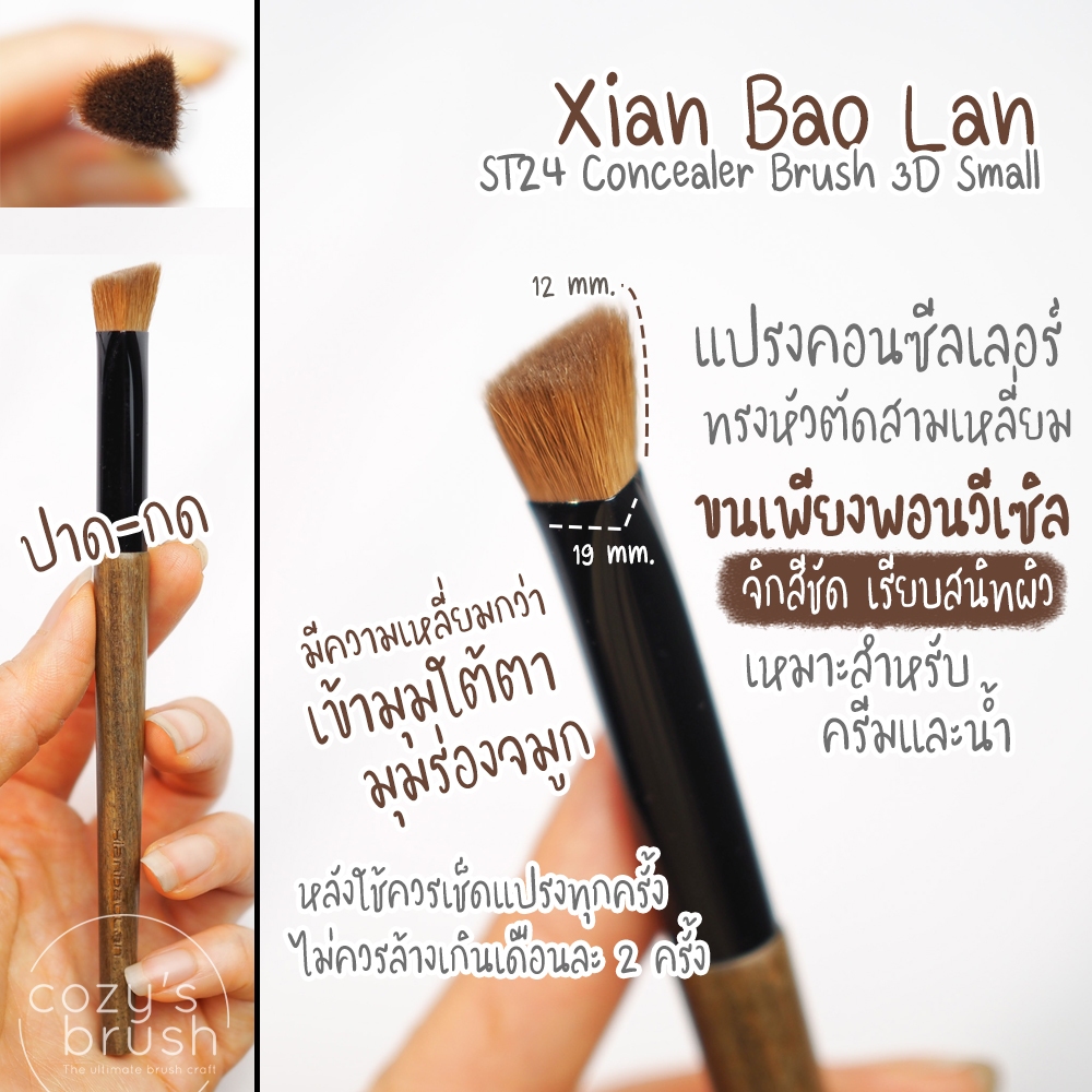 [Weasel] XBL - ST24 Concealer Brush Large Small