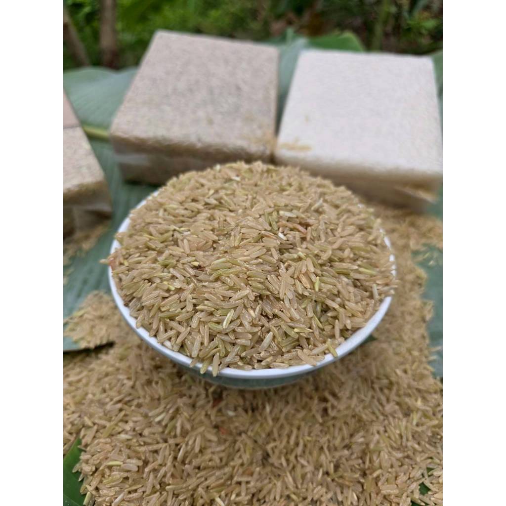 ข้าวกล้องน้ำนม ข้าวกล้องระยะน้ำนม สุรินทร์ แท้ 100% หอม นุ่ม ทานง่าย ไม่ฝืดคอ ราคาถูก ราคา ถูกที่สุด ดีลบีเคเค แกลเลอรีภาพที่ 5