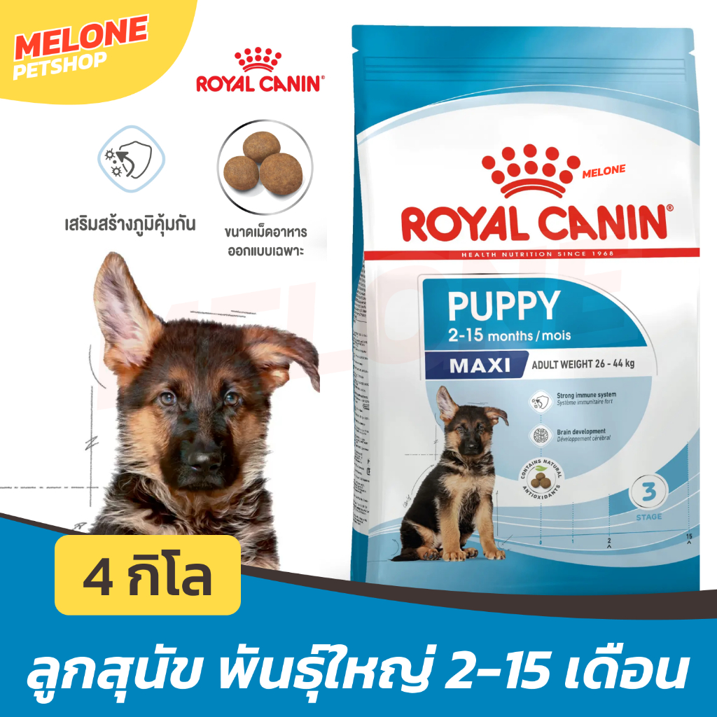 Royal Canin Maxi puppy 4kg อาหารสุนัข  ลูกสุนัขพันธุ์ใหญ่ อายุ 2-15เดือนขึ้นไป