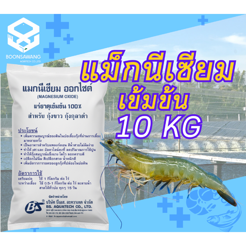 แมกนีเซียม อ๊อกไซด์ (ยกถุง 10Kg) แร่ธาตุแมกนีเซียมเข้มข้น