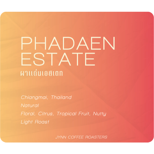 JYNN coffee roasters เมล็ดกาแฟ Phadaen Estate (ผาแด่นเอสเตท) - Natural Process V.2