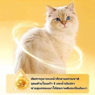 อาหารแมวเปียกแบบกระป๋อง อาหารกระป๋องสำหรับแมว ขนาด 400g กระป๋องเดี่ยว