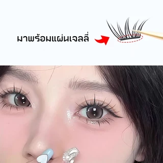 FEPO แผ่นขนตา 32 แถว ติดเองง่าย ไม่ต้องใช้กาว ใช้ได้ทุกวัน สวยธรรมชาติทั้งตาชั้นเดียวและสองชั้น