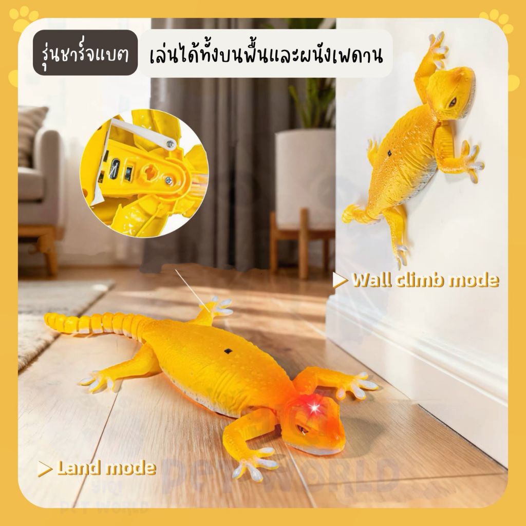 🔥(ส่งด่วน/ส่งไว) ของเล่นแมว ตุ๊กแก ไต่ผนังเพดานได้ (Y066)