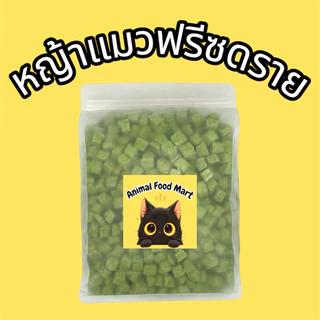 AFM ฟรีซดรายแมว 100g 200g 500g หญ้าแมว หญ้าแท่ง หญ้าแท่งสั้น หญ้าแมว(ป่น) ขนมแมวขนมหมา สดใหม่ทุกวัน ราคาสุดคุ้ม
