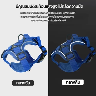 โปรโมชั่นราคาพิเศษ จัดส่งทันที เสื้อรัดอกพร้อมสายจูง เสื้อรัดอกสัตว์เลี้ยง สายจูงสุนัข หมา แมว มีแถบสะท้อน ทนทาน