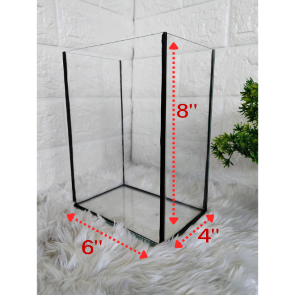 โหลปลากัด 6x4x8 นิ้ว กระจกหนา 3 มิล สำหรับปลากัดและสัตว์เล็ก พร้อมกาวใสและกาวดำ