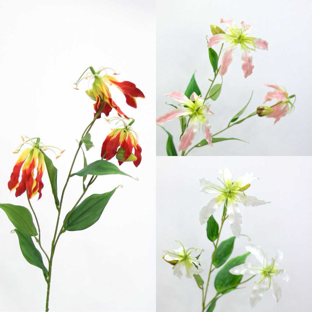 ดองดึงประดิษฐ์ flame lily ดอกดองดึงปลอม
