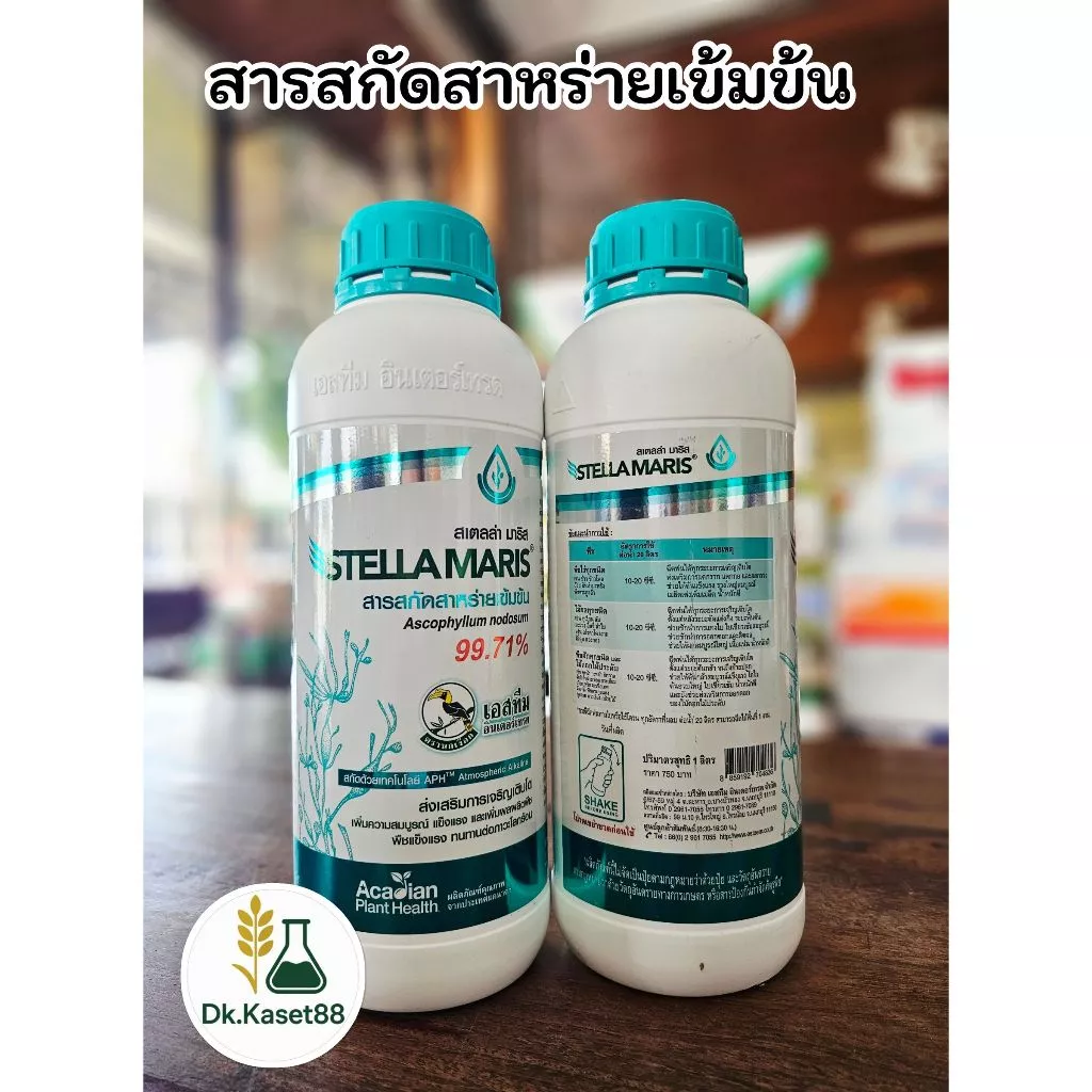 สเตลล่ามาริส เอสทีม สารสกัดสาหร่ายเข้มข้น 99.71% เร่งราก แตกกอ เสริมความแข็งแรงให้พืช 1 ลิตร
